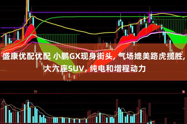 盛康优配优配 小鹏GX现身街头, 气场媲美路虎揽胜, 大六座SUV, 纯电和增程动力